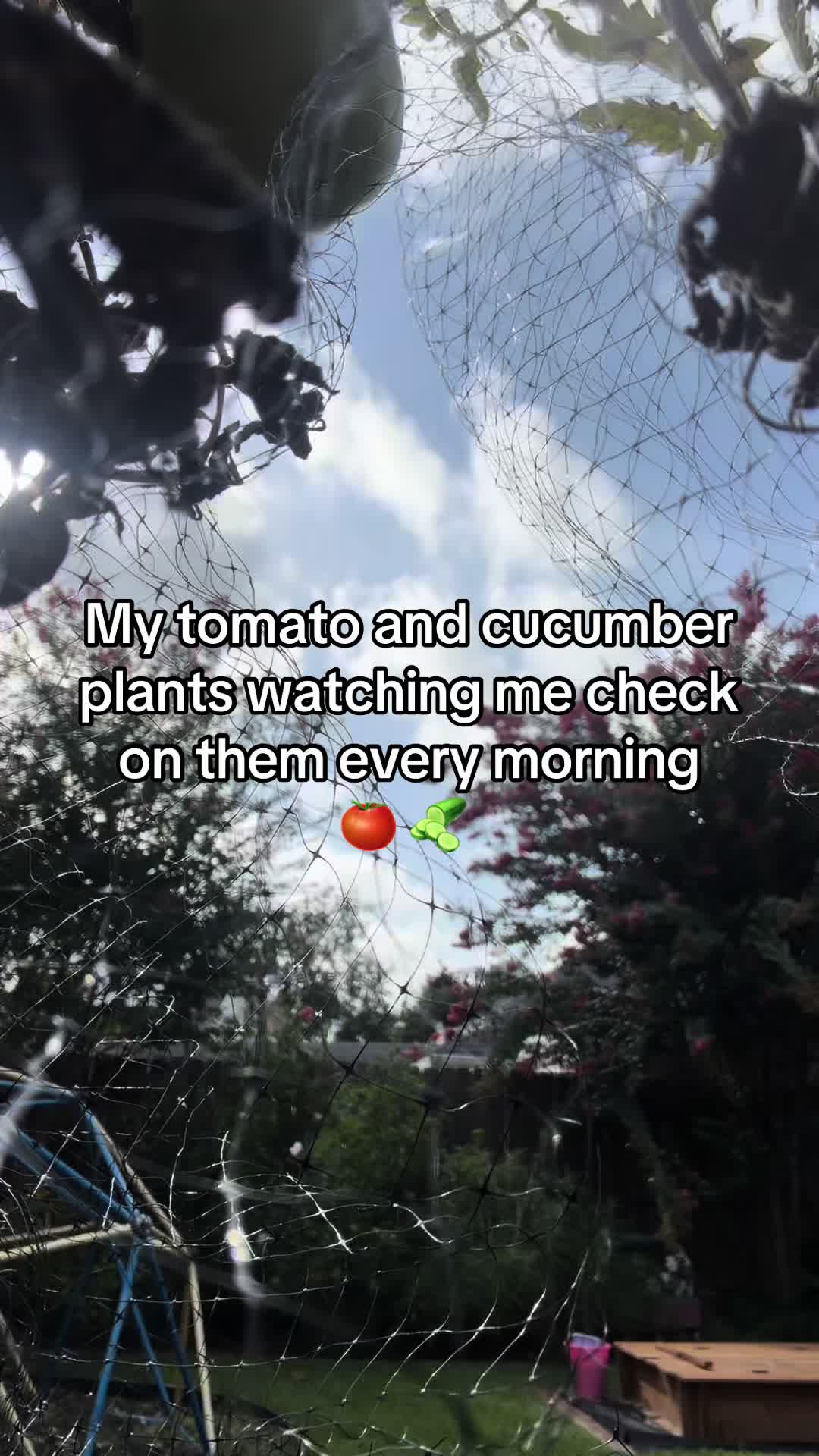 @CookingwithErin