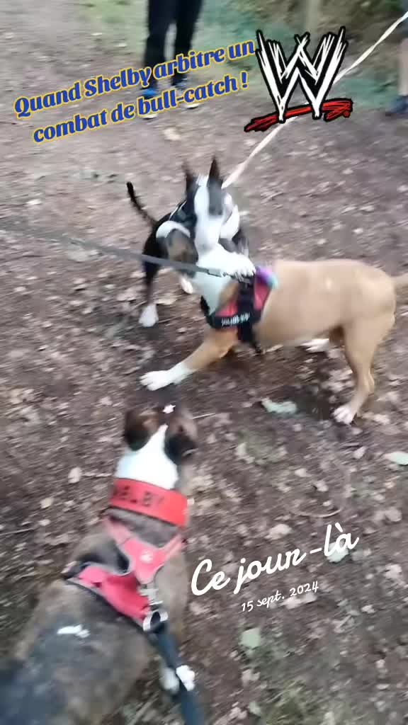 @Shelby_&_moi