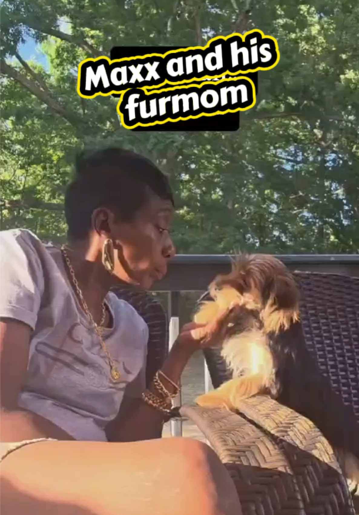 @Dog Lady