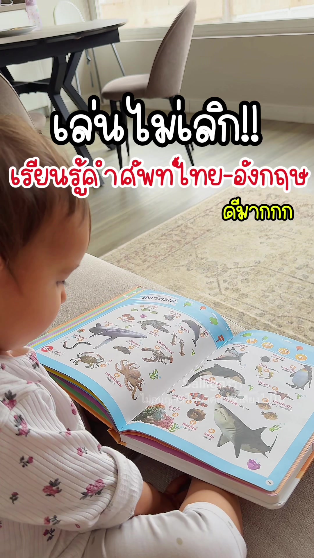 @Sailigaรีวิว