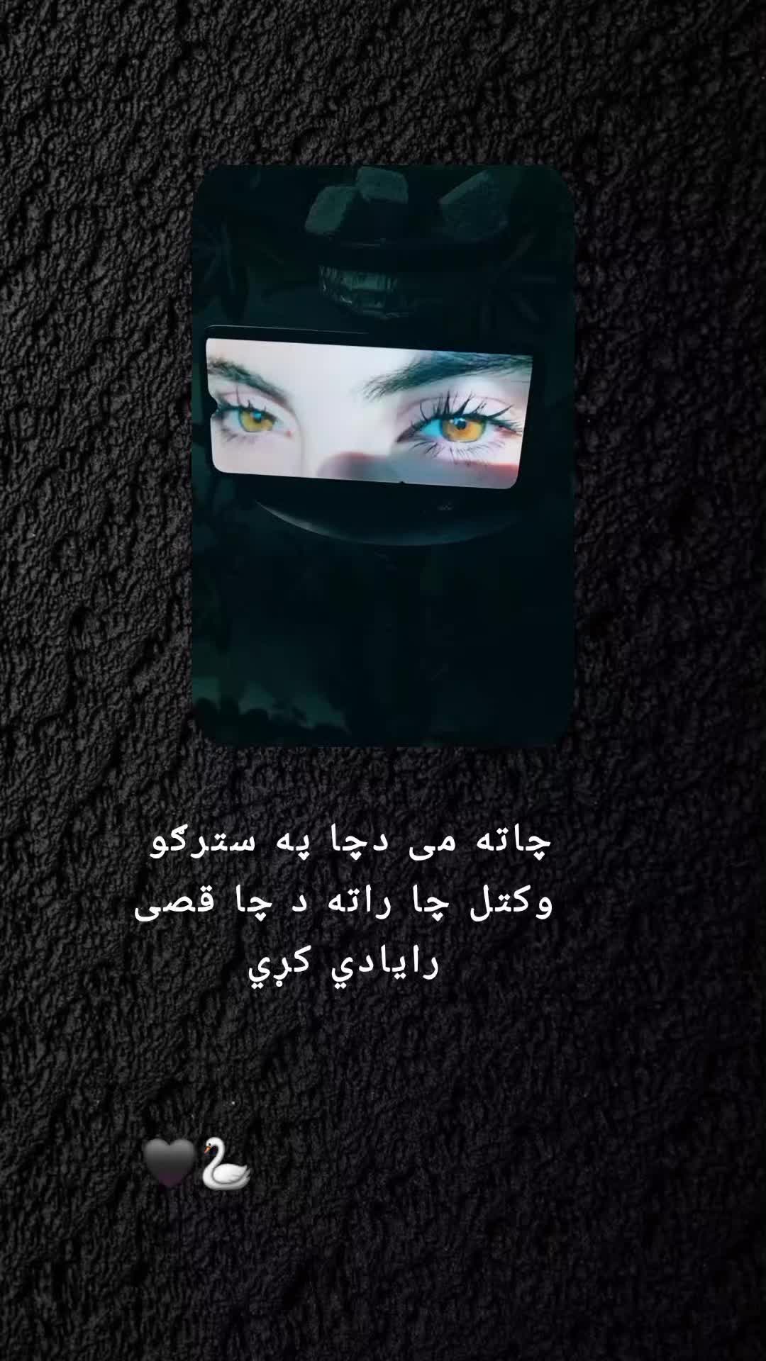 @رهــ🦢ــبر ◡̈⃝🖤