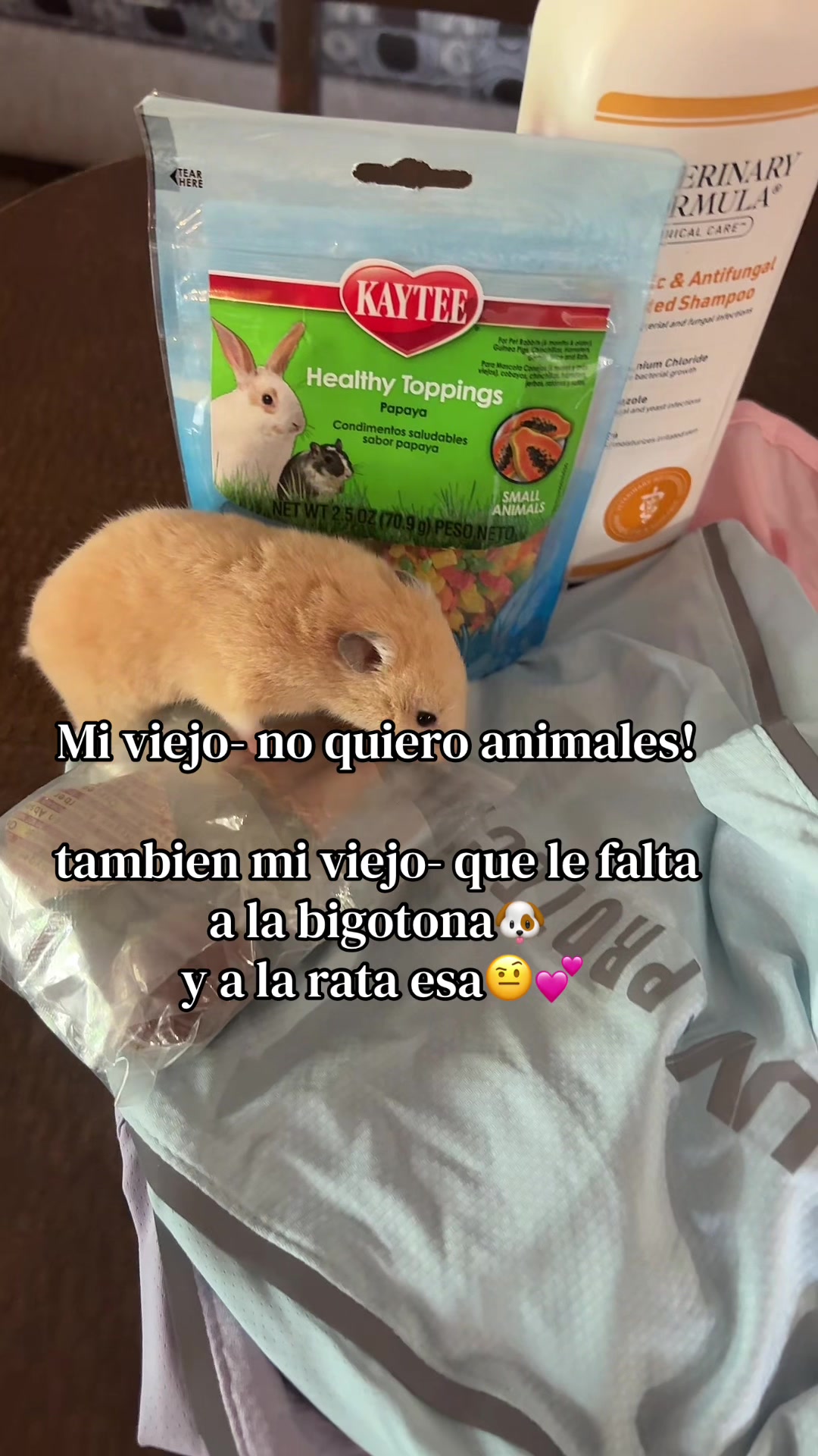 @coralito🪸