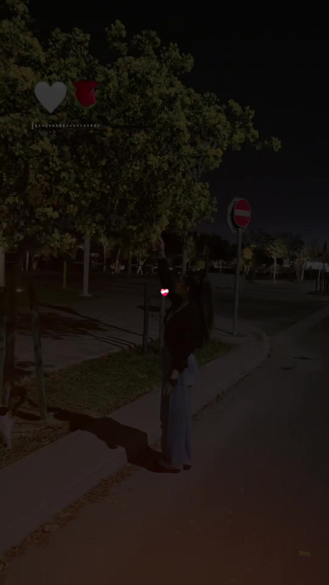 @R O Ji N Aš¼