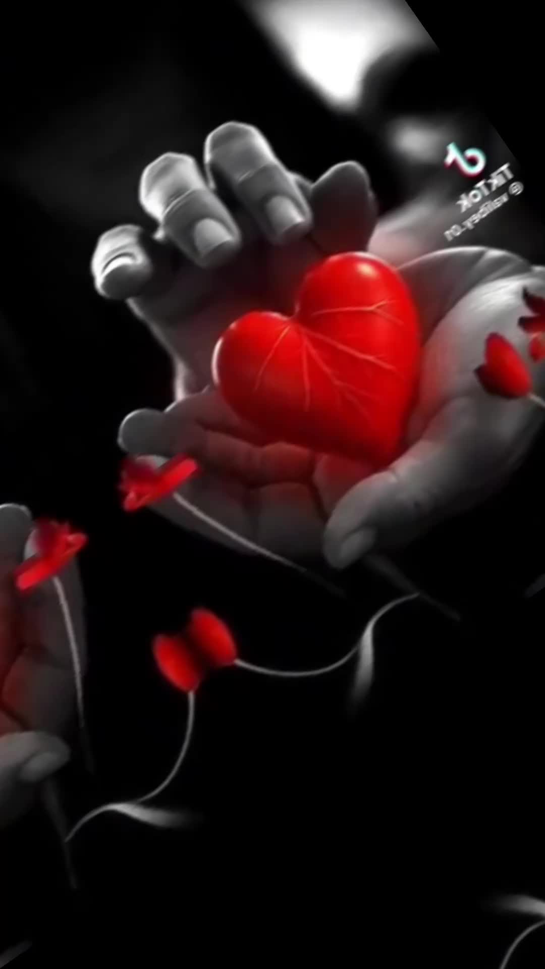@fafafibro1969