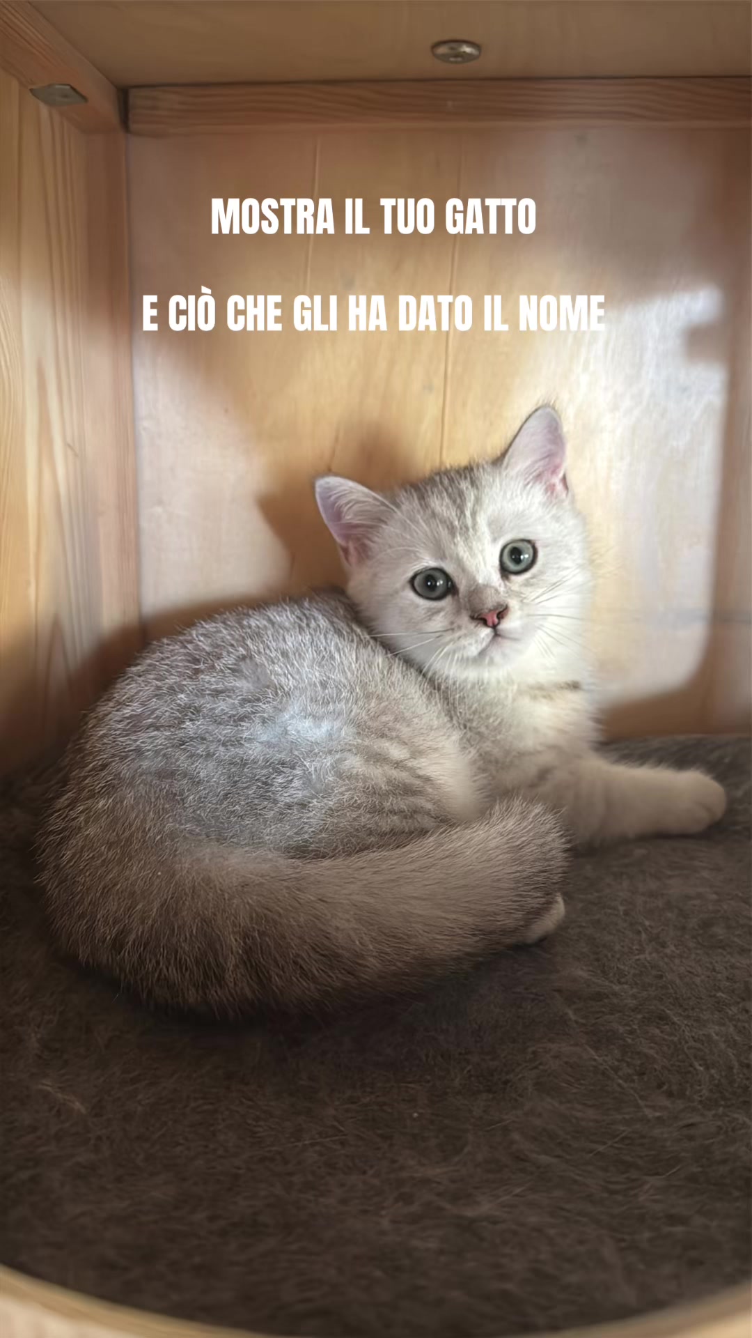 @Elisabetta|โ๏ธ๐ง ๐ฉ๐ป๐ป