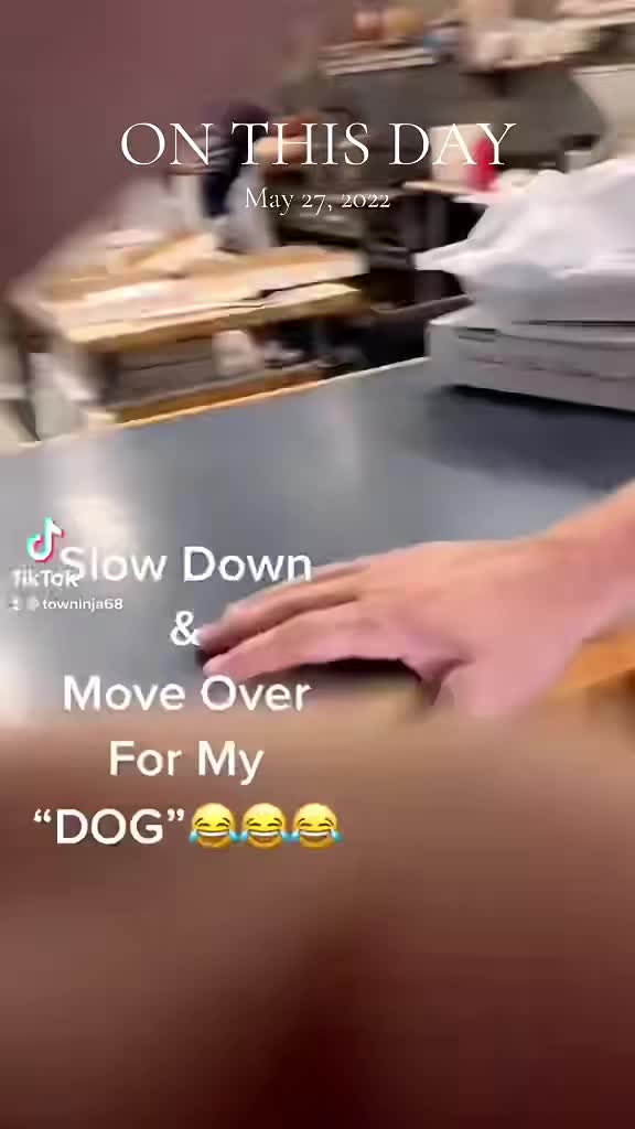 @Tow_Ninja68❌