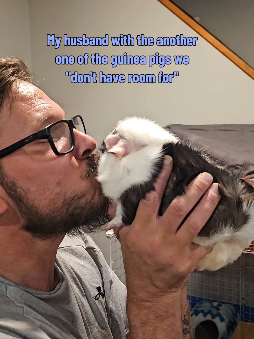 @♡GuineaPiggy♡