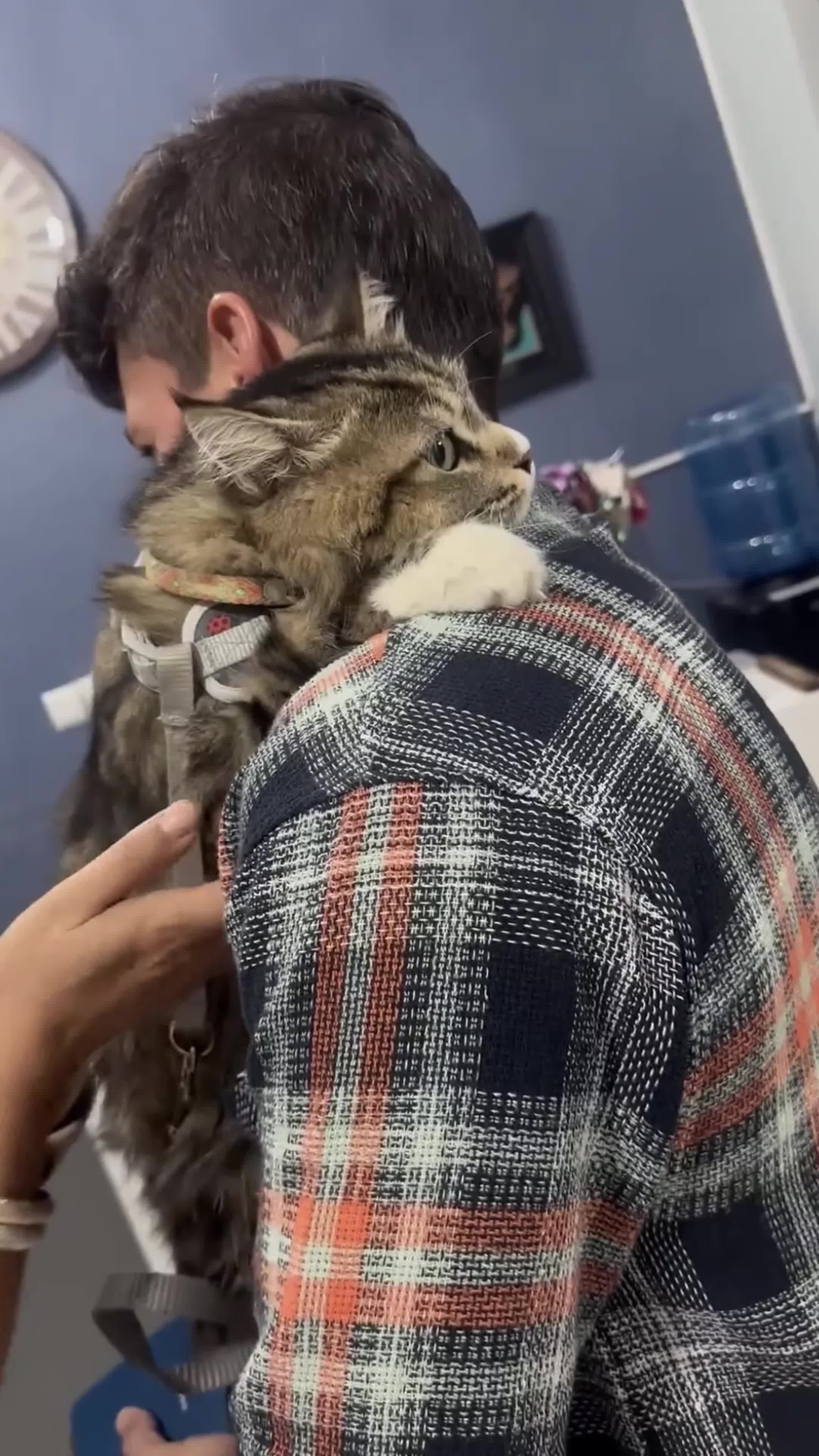 @Fluffy Fails