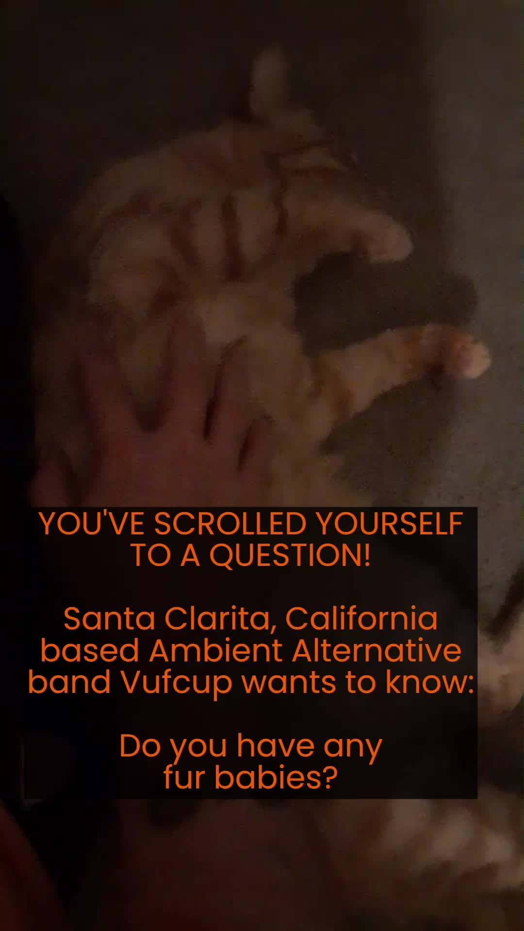 @Vufcup