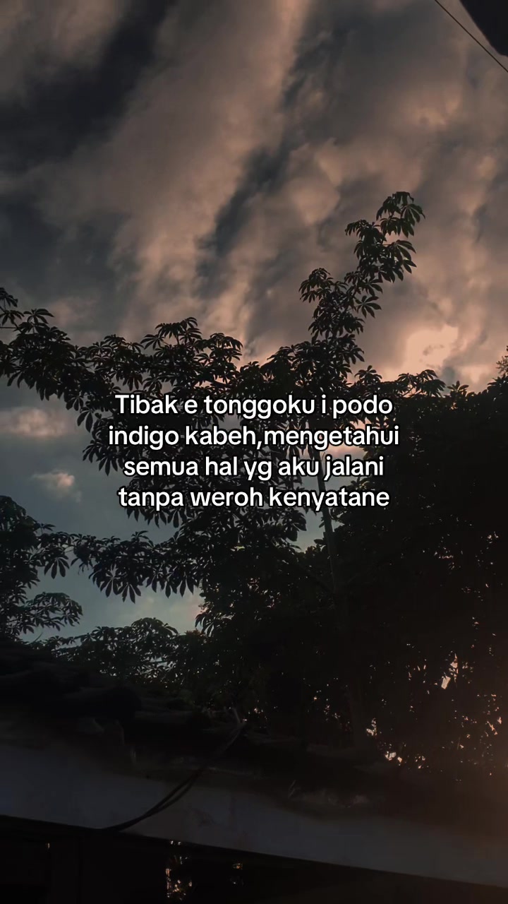 @๐๐๐ข_๐๐
โ๏ธ๐พ