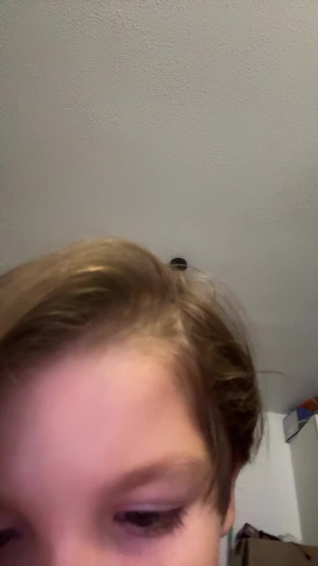 @Aimlyne 🦇
