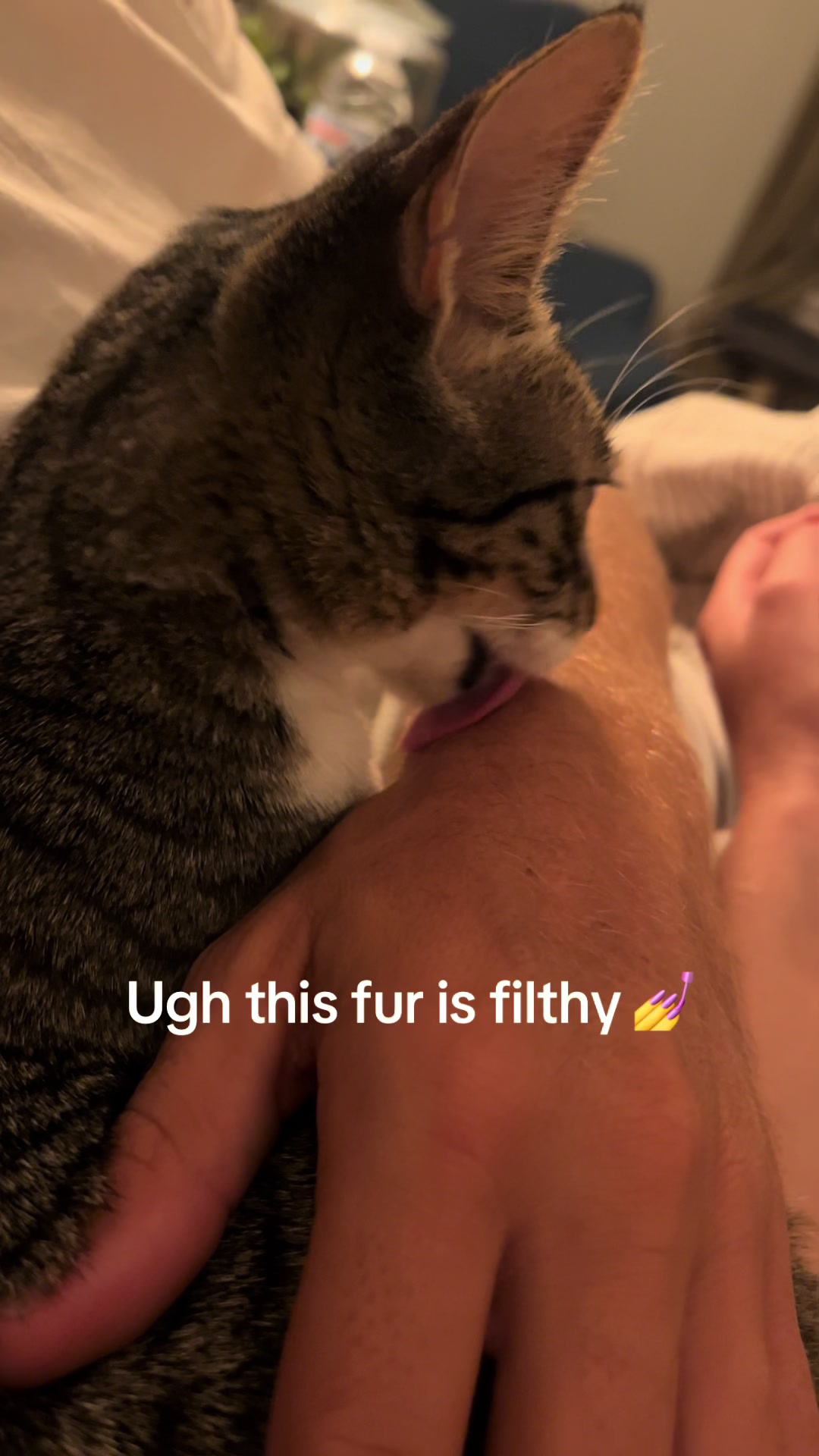 @Breannavanloo