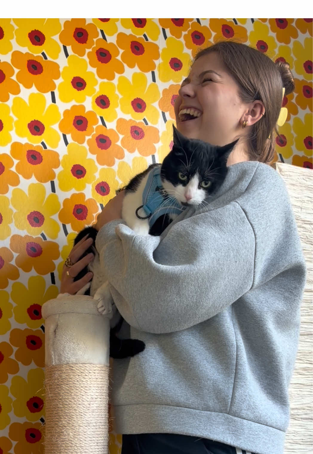 @A N L Y N