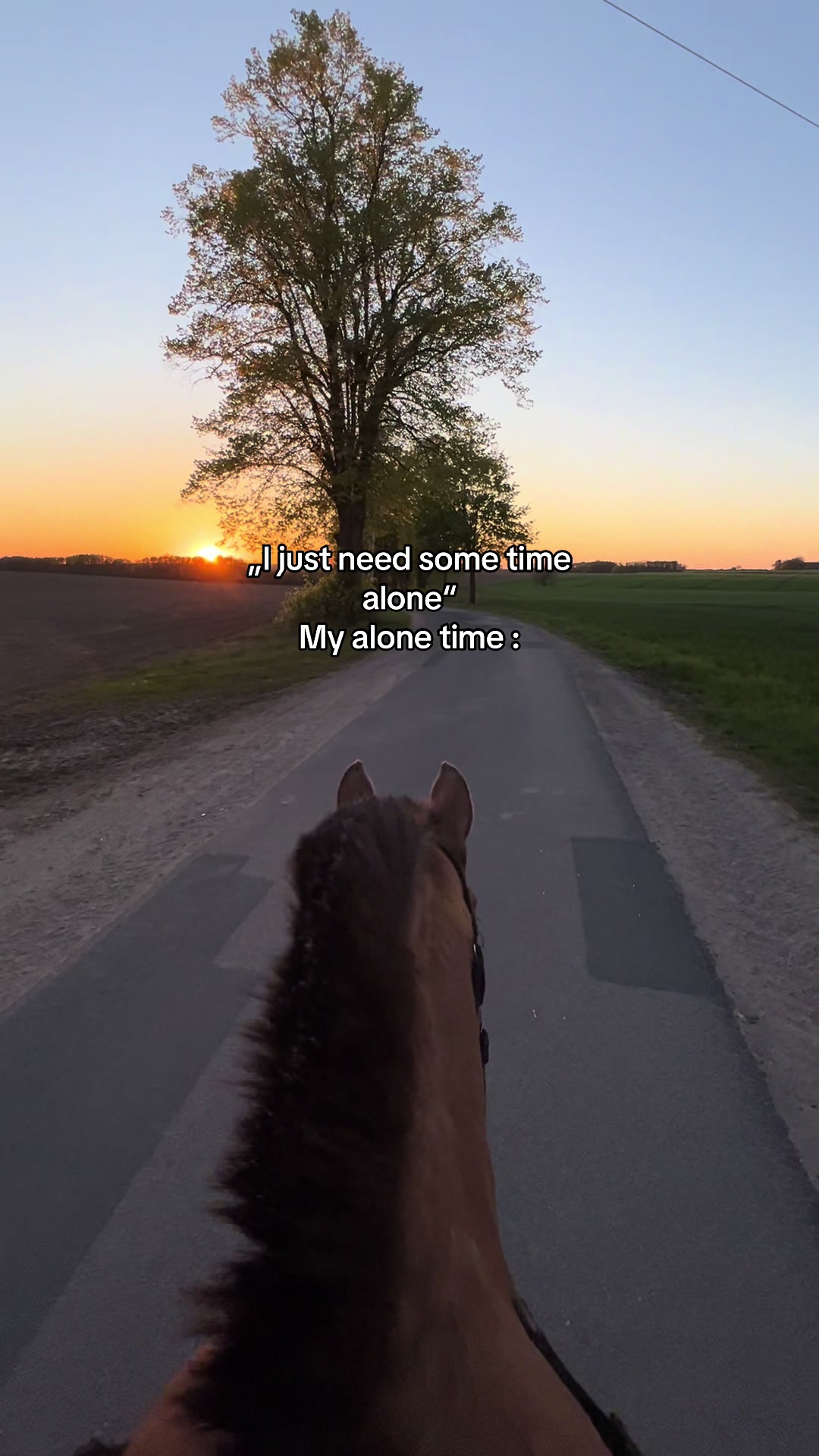 @𝑴𝒂𝒚𝒂