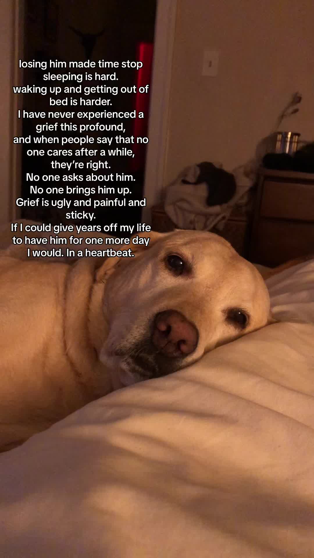 @Caroline