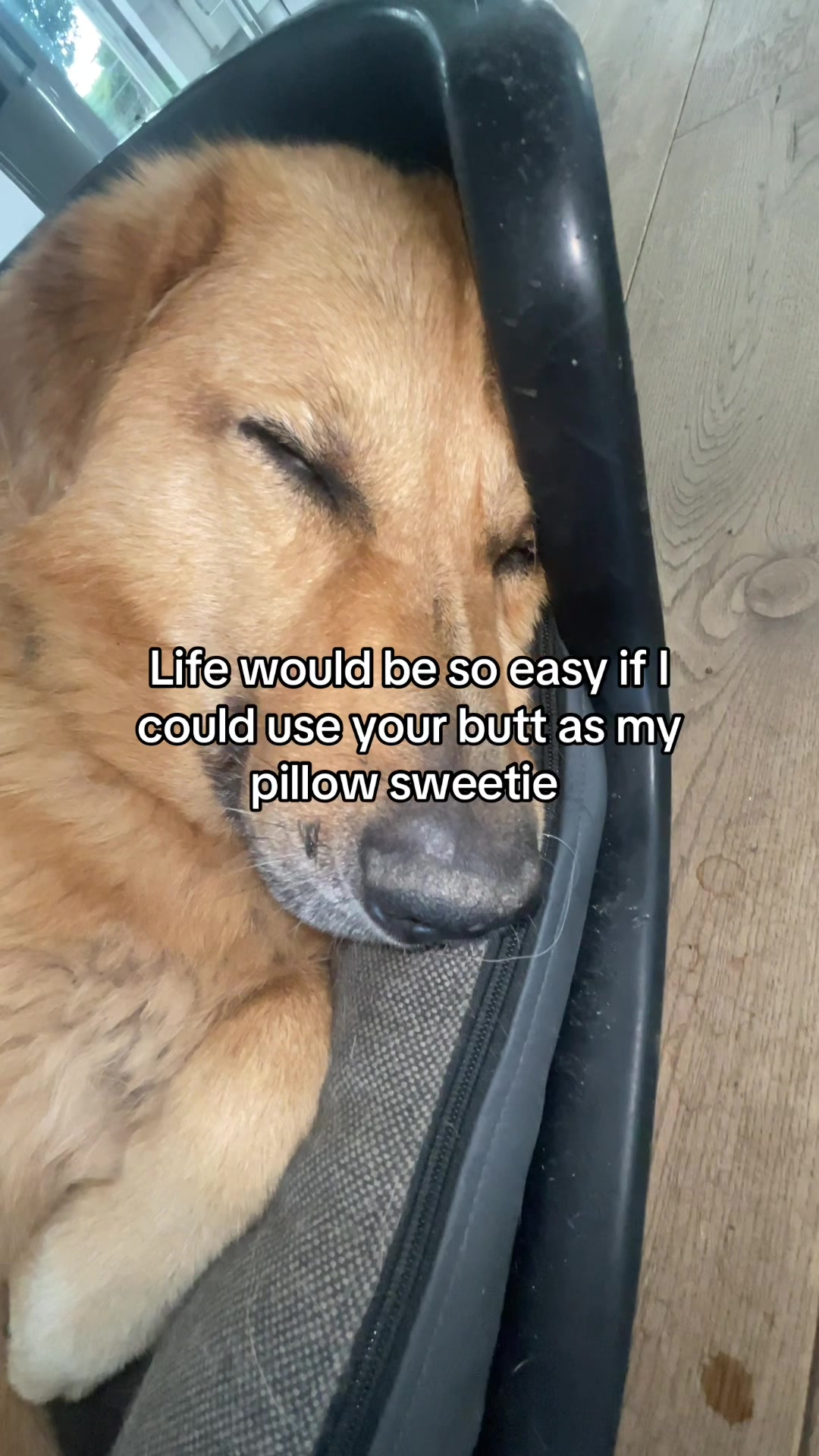 @Neo