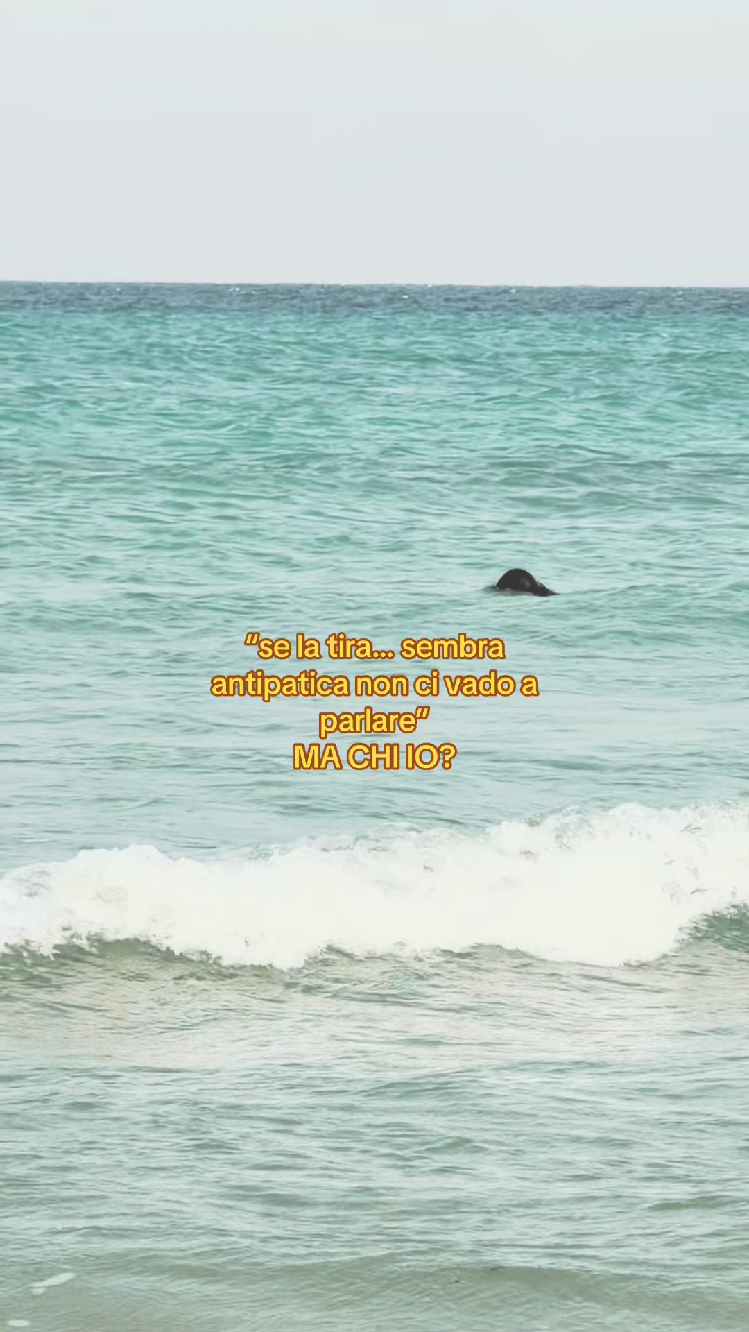@OR🏄&zwj;♂️