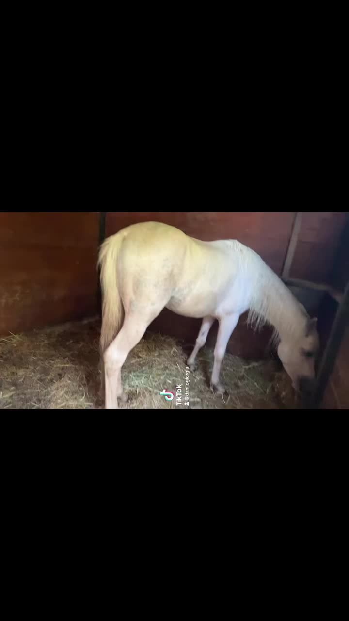 @danilogiorgia🖇️💘🔐
