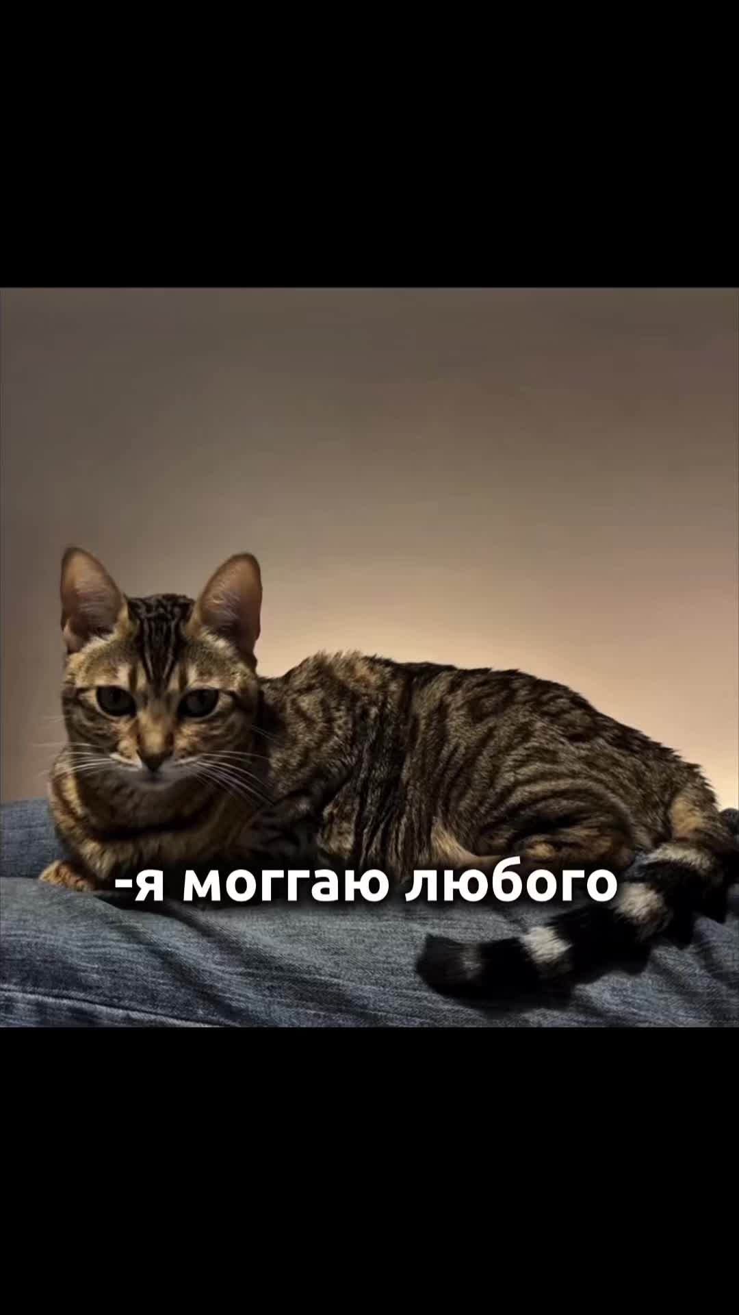 @losskiss1