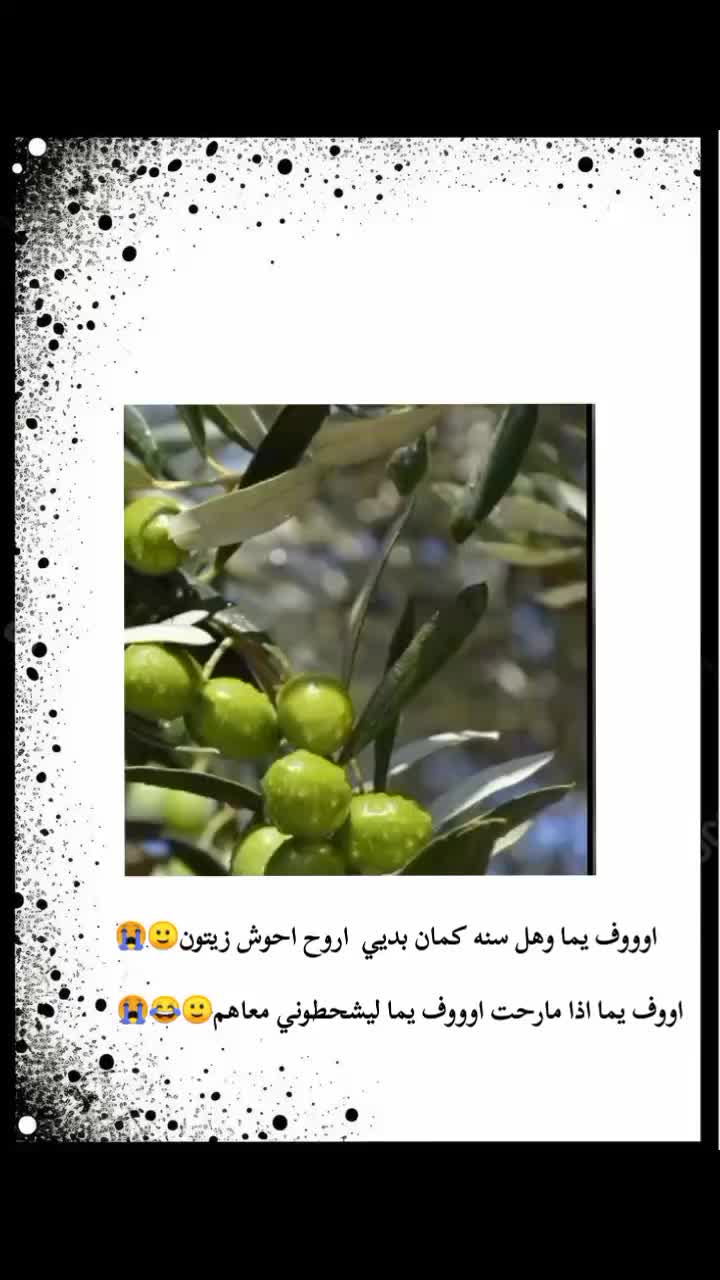 @غـنـ⃪ـوجــ⃪ٍـ⃪ه ألـحܔلـبـي𝑴😌