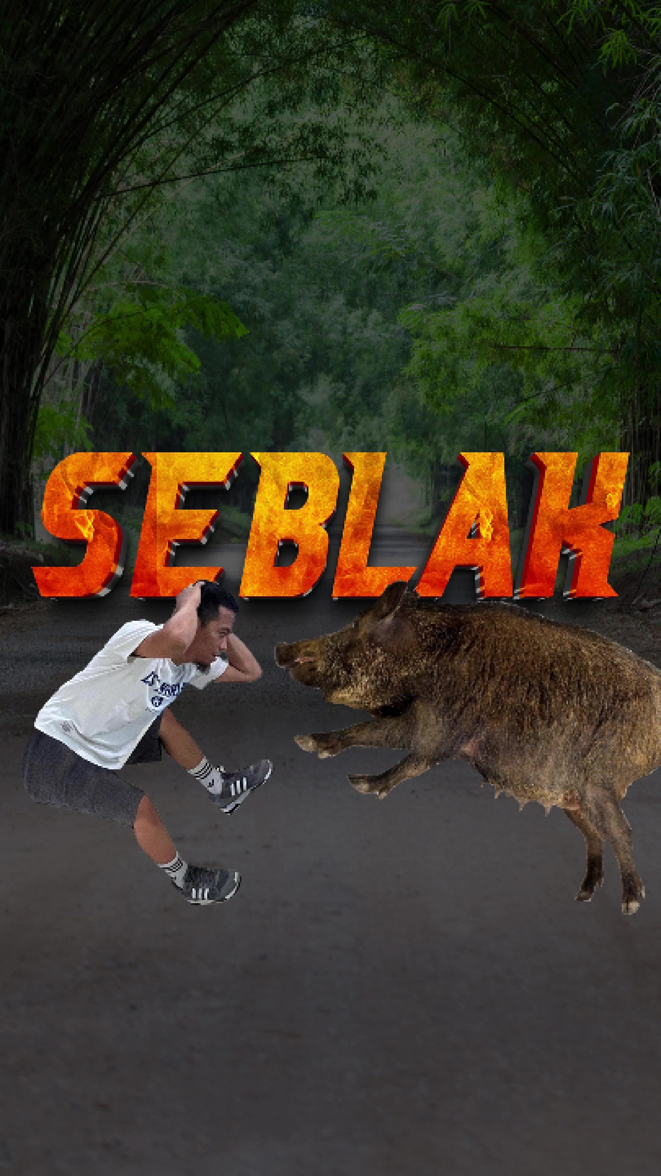 @Survivor Pro