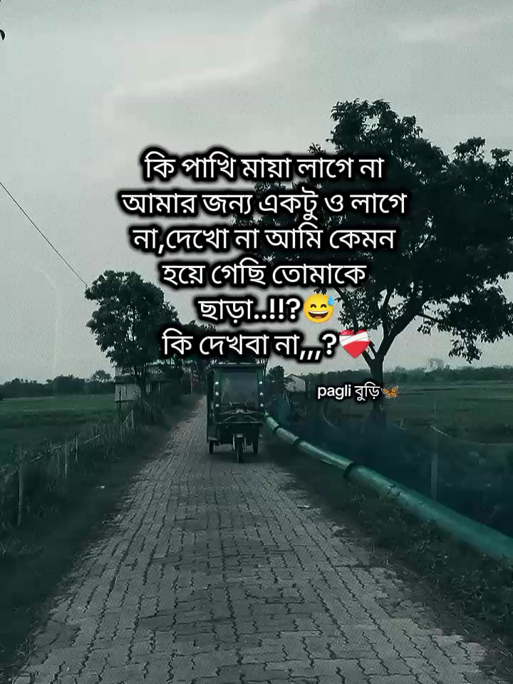 @Pagli বুড়ি🦋