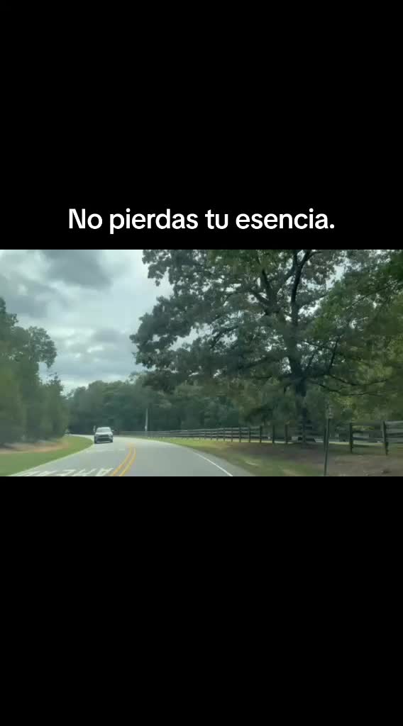 @Lesly Zelaya