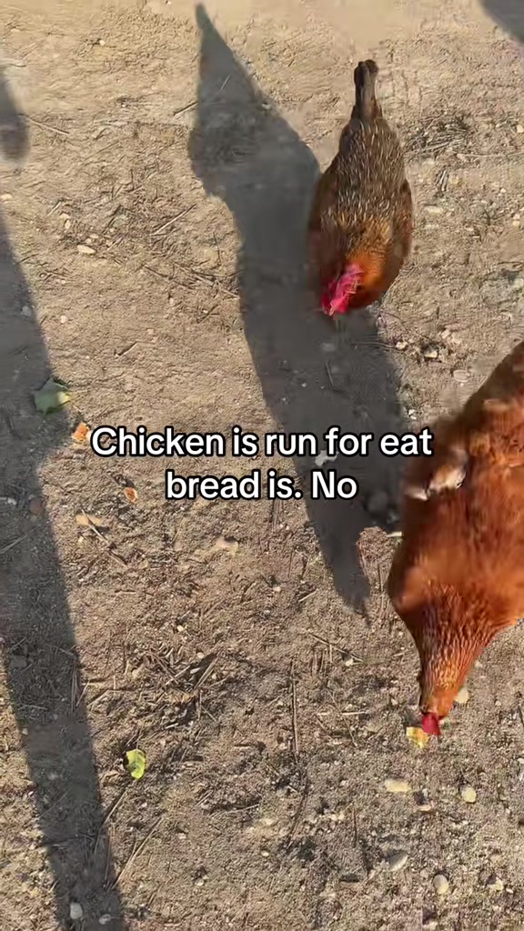 @No