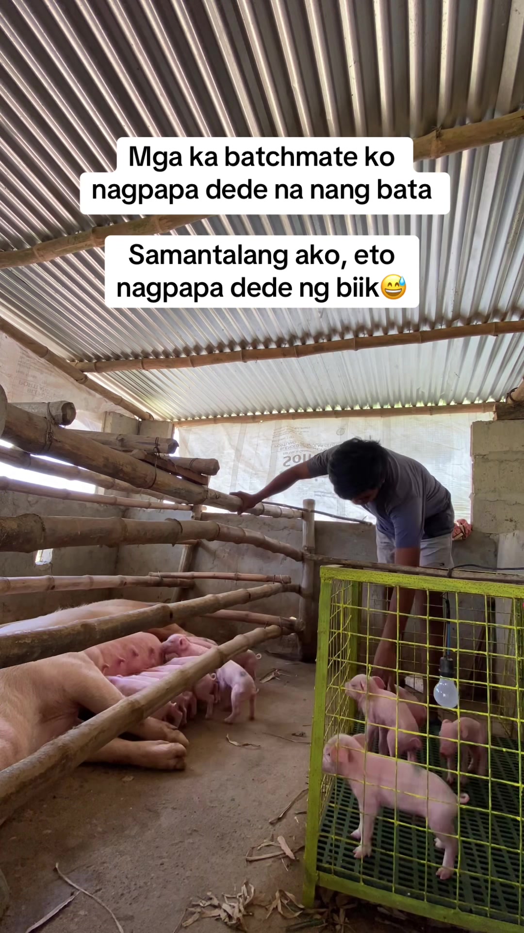 @Jhon Mark Daludado