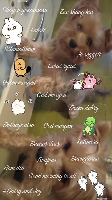 @#Daisy and Joy