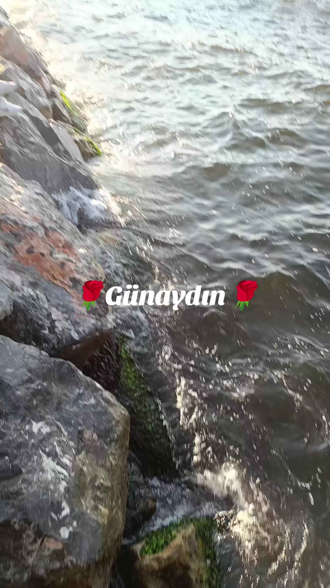 @Hlk-&Ocirc;zkn