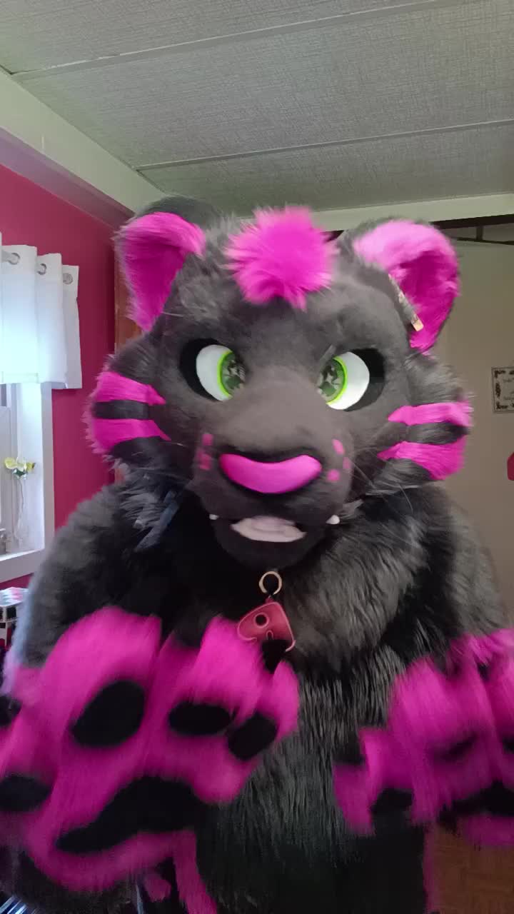 @dingbat 🐾 mew,mew 🐾 🔜 AC26
