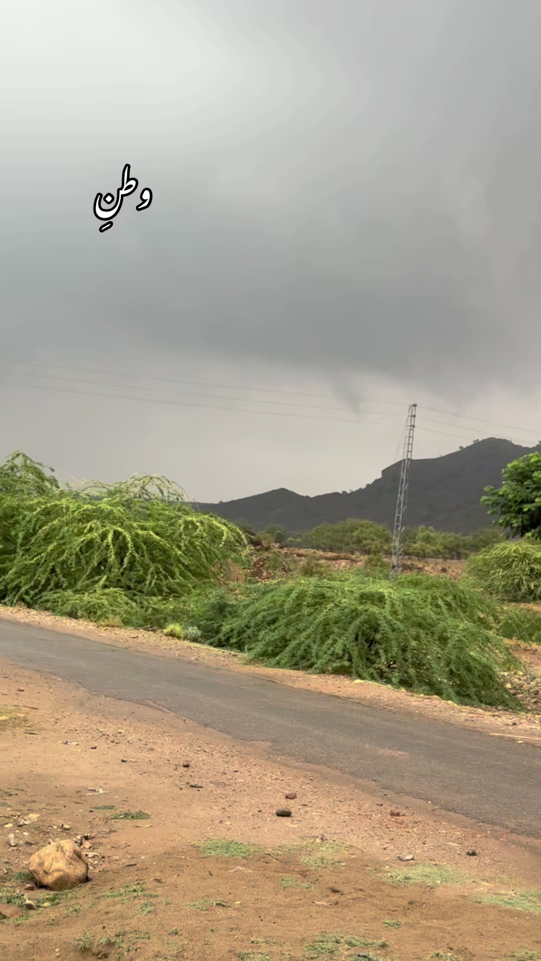 @Saleh Baloch