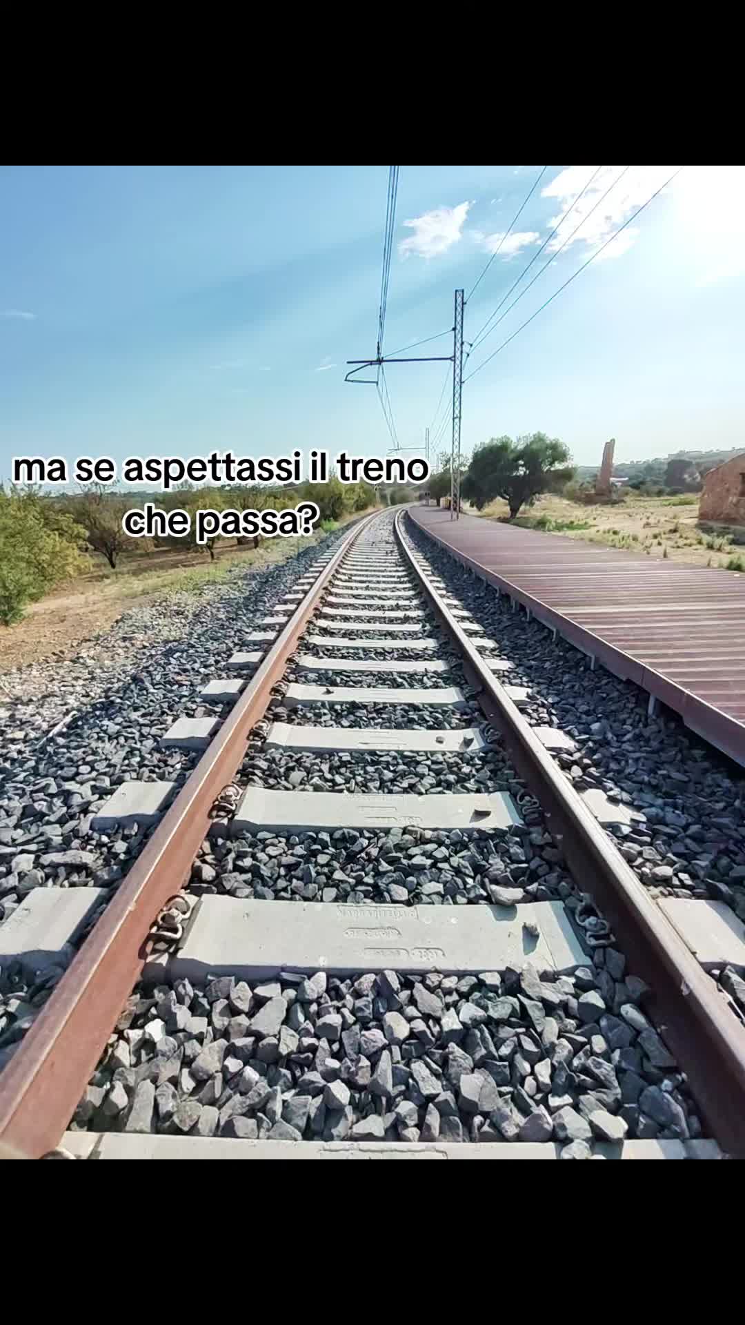 @████████