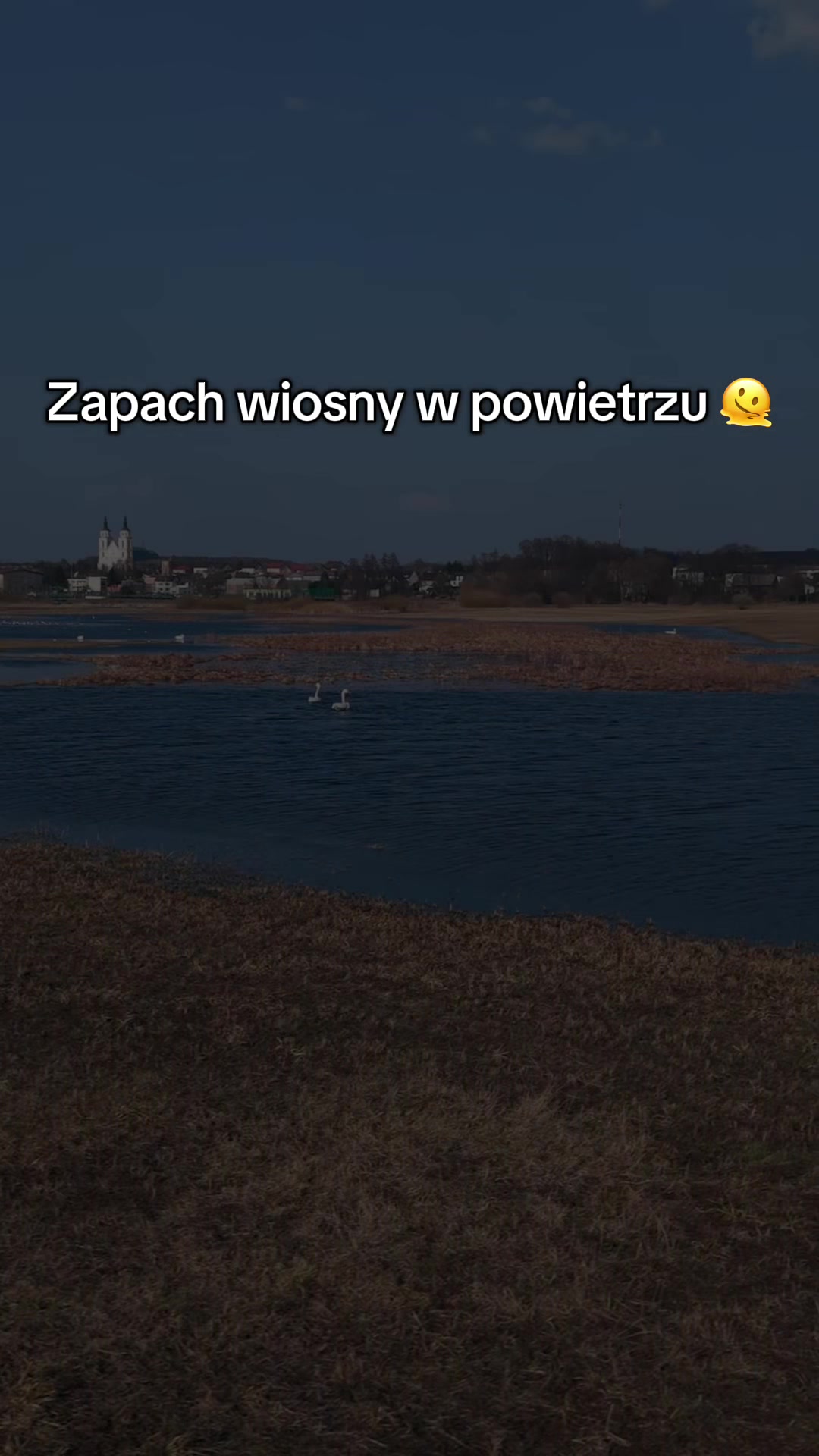 @Beyond_the_viev