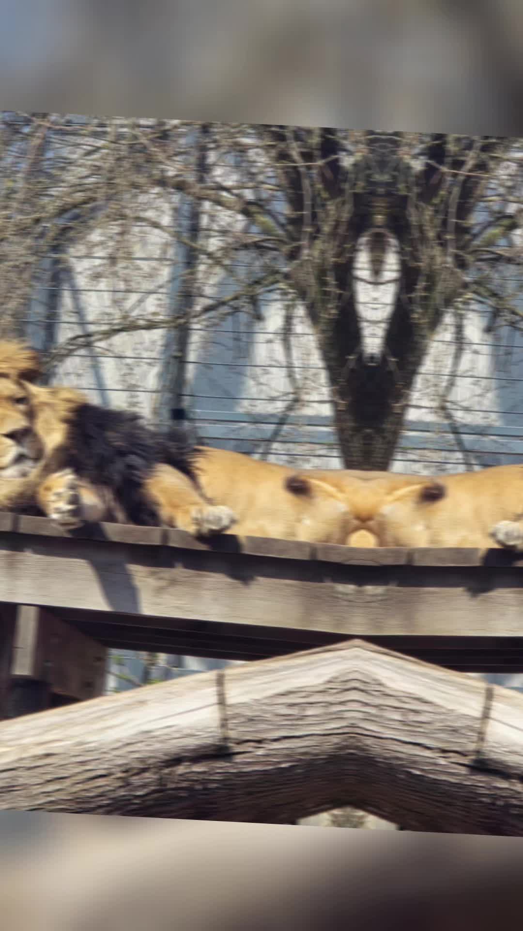 @Красатуля