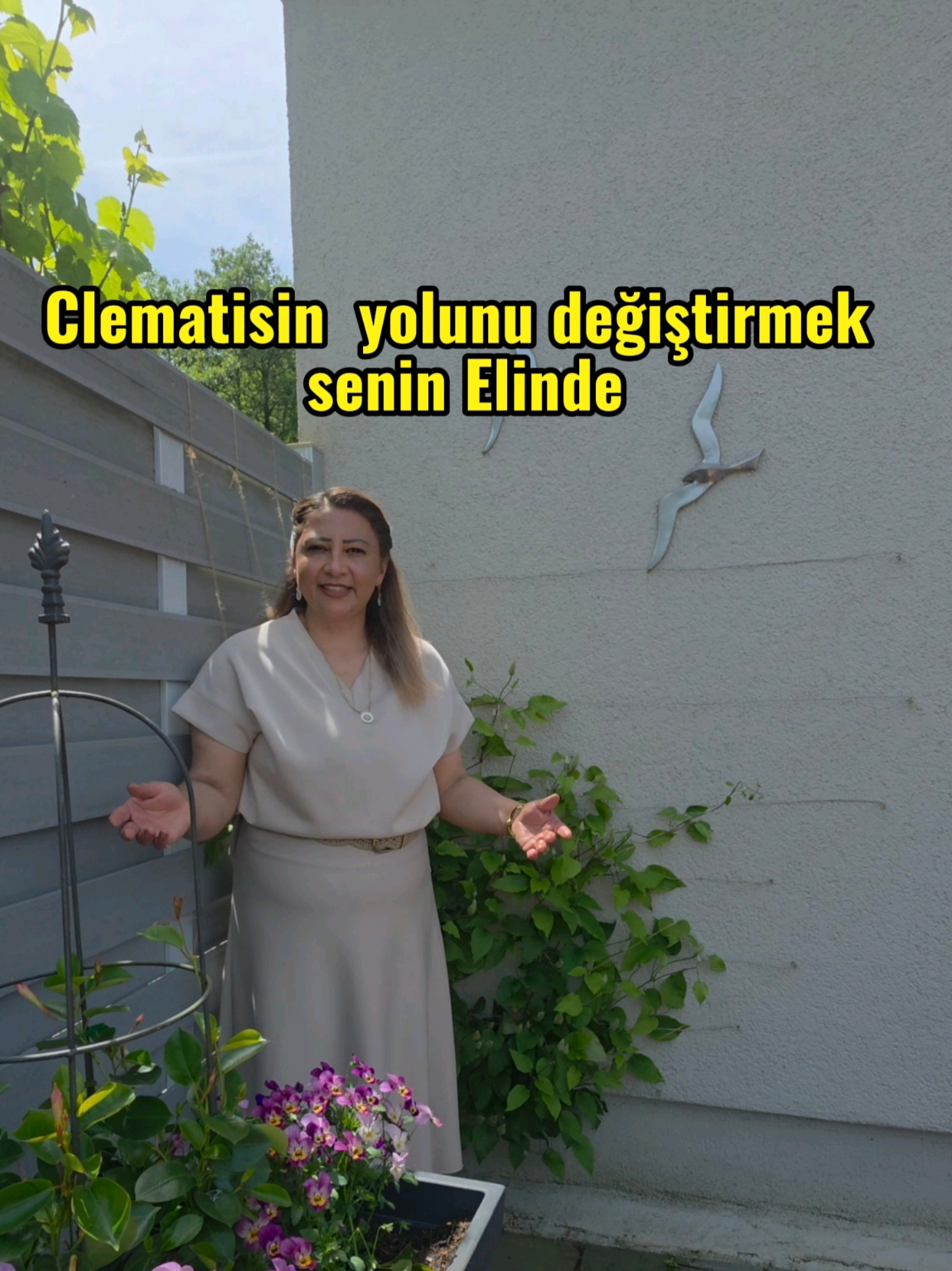 @meralworld