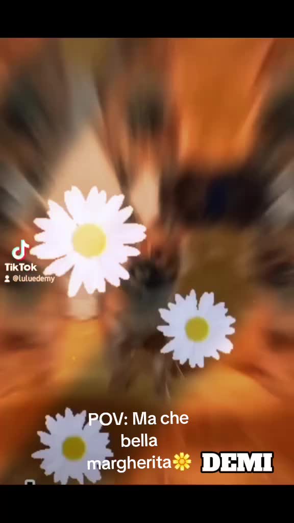 @๐ถโ๐ ๐ฟ๐๐ù ๐โ๐ถ