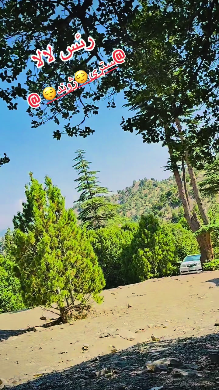 @رایس لالا🥀