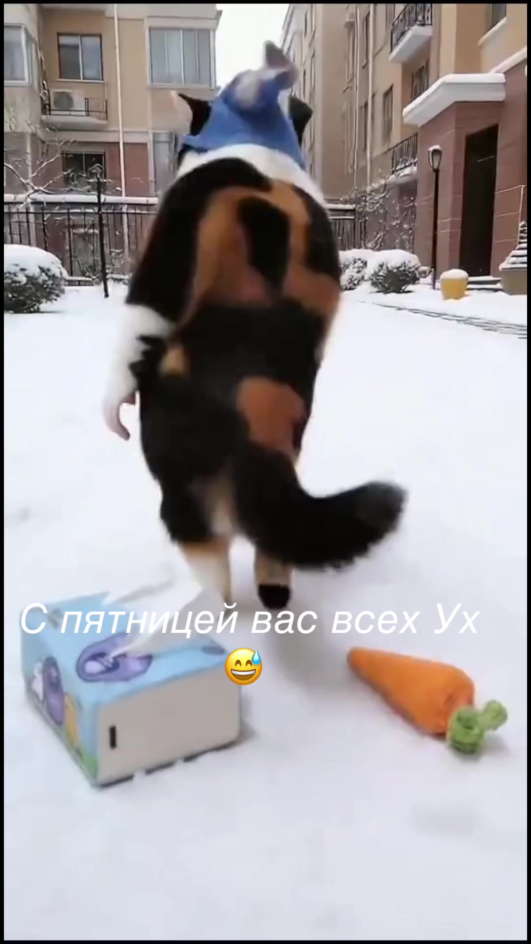 @катя1489