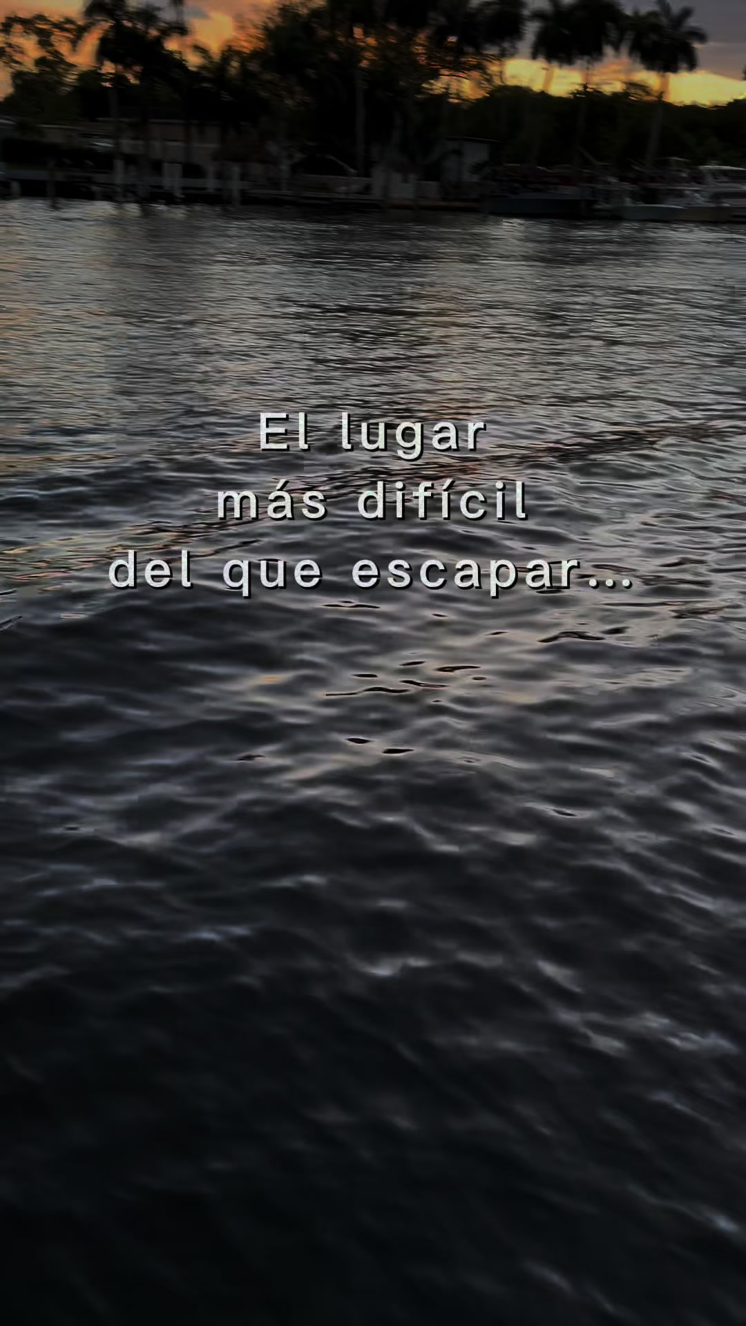 @marion Alvarado