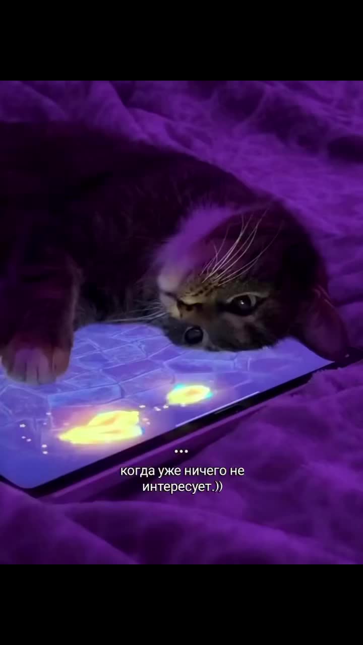 @Aisha🩹