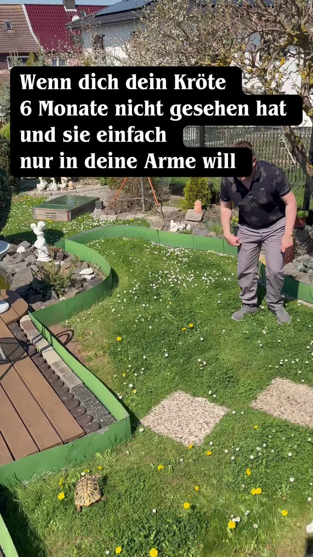 @Ronnosch