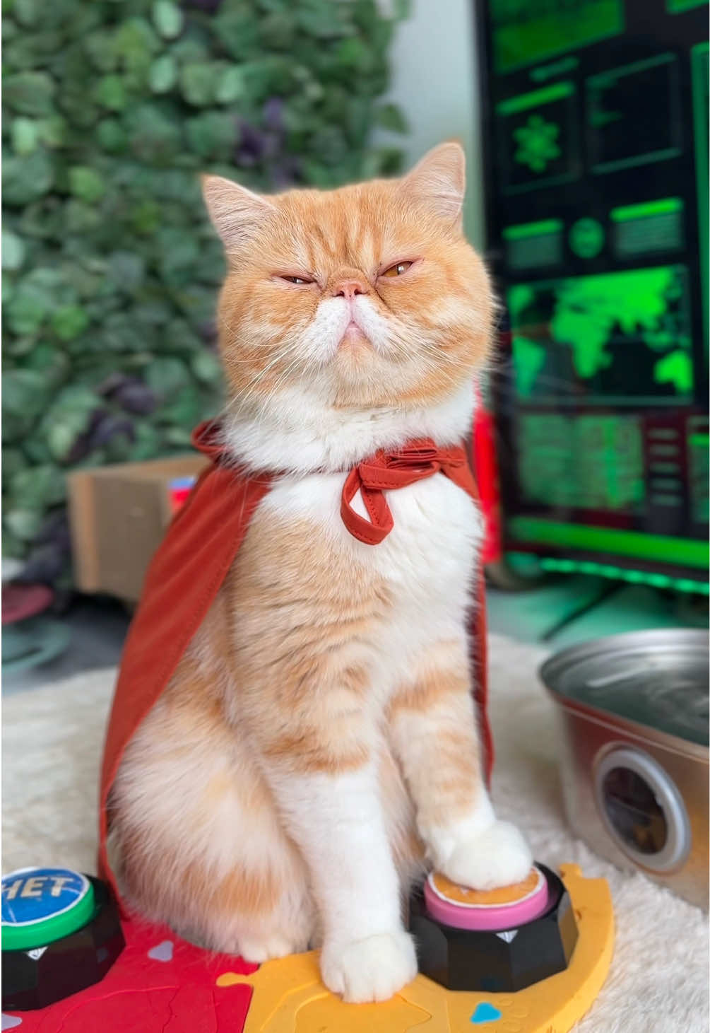 @hariton.cat