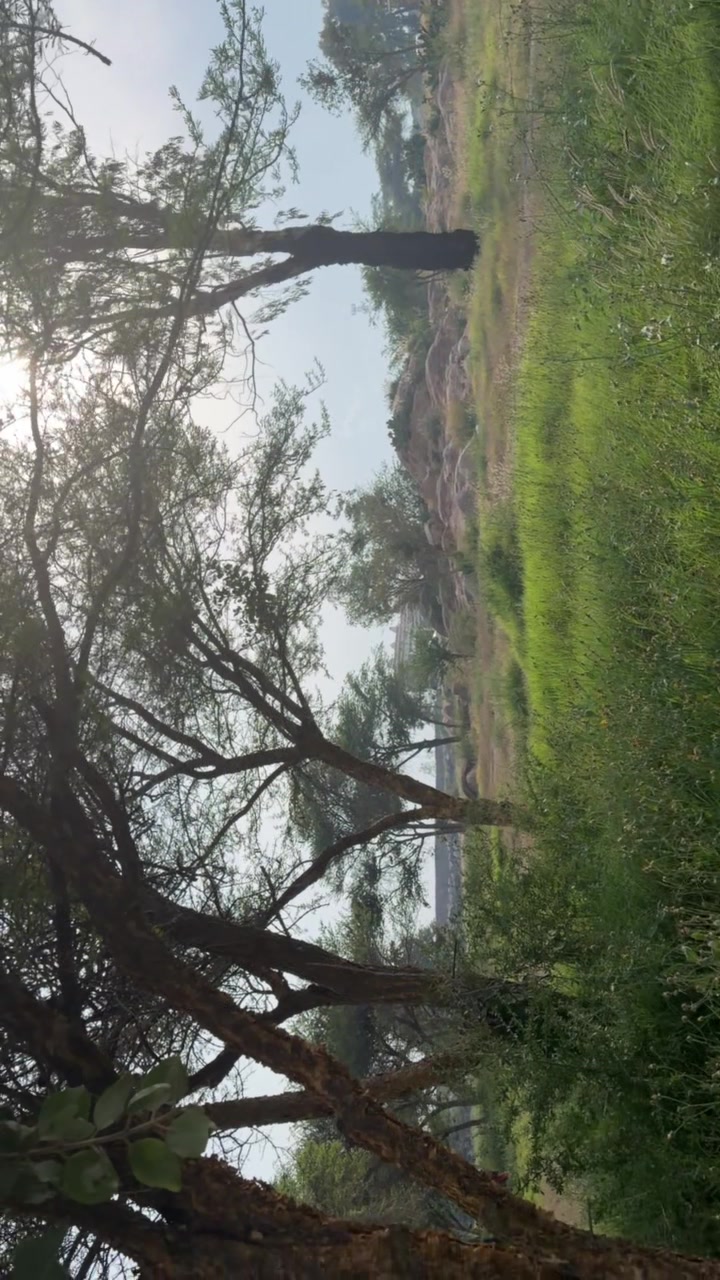 @ذَهـبه