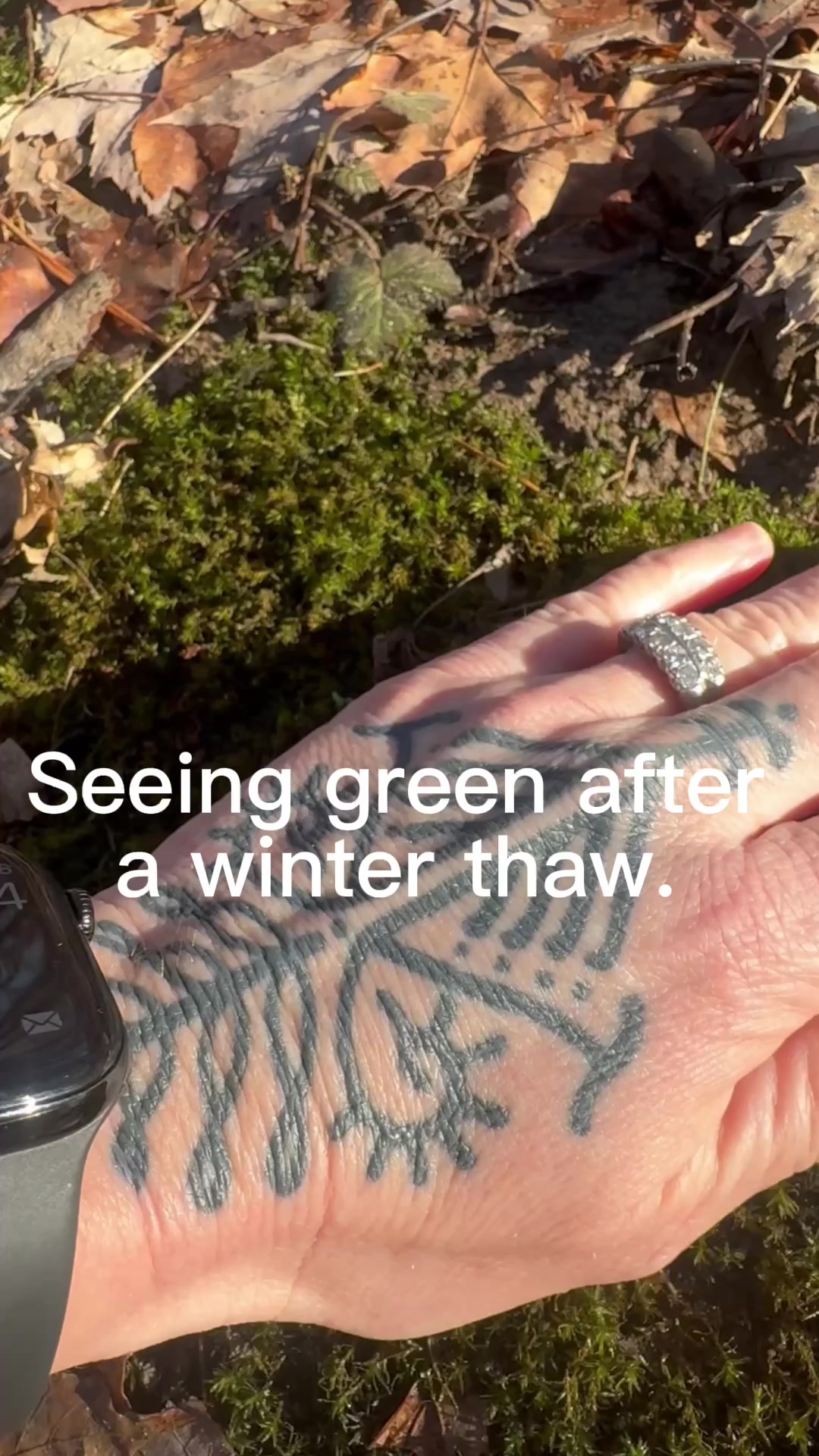 @Cedar Marsh Farm