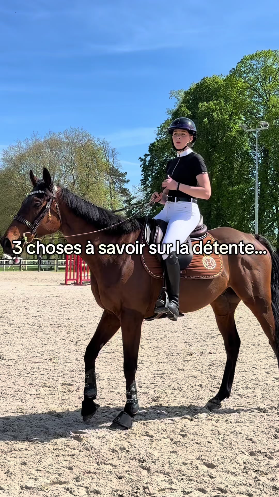 @⚜️les8sabotsdejade⚜️
