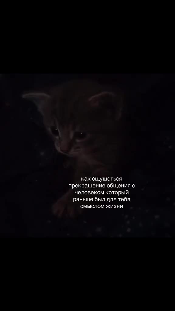 @fucк