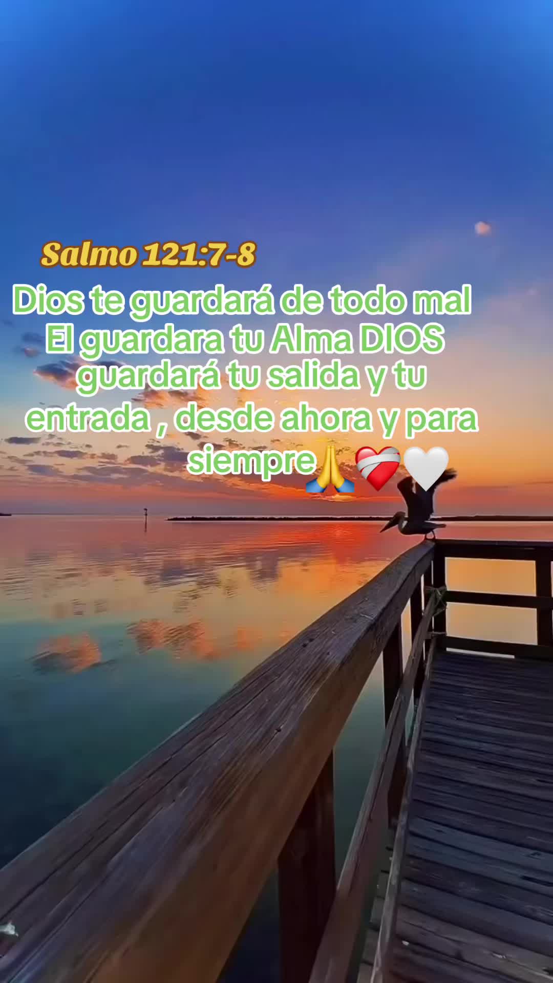 @Leticia Mejia