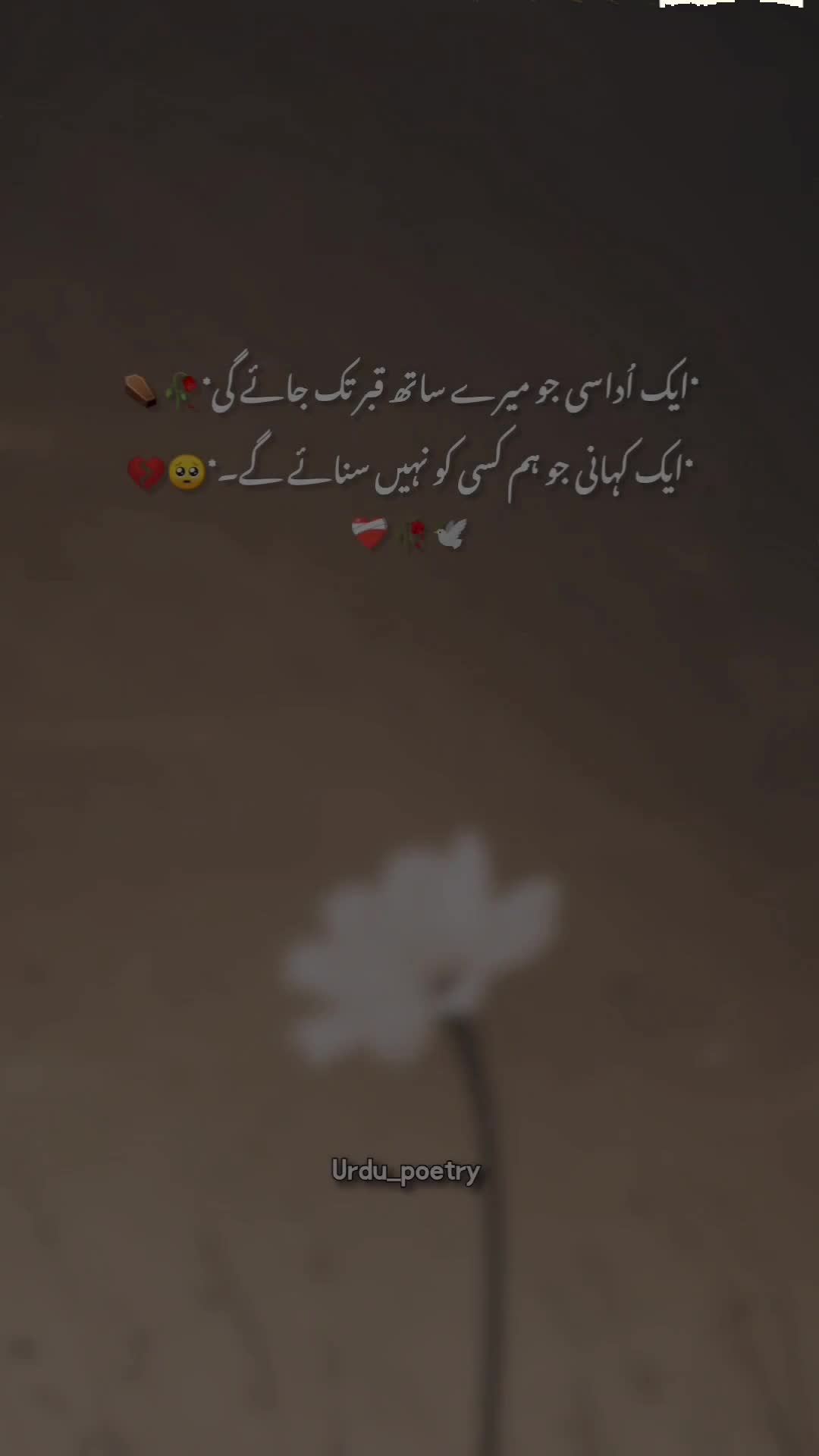 @𝐃𝐞𝐞𝐩 𝐥𝐢𝐧𝐞𝐬 ✨